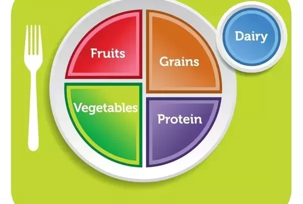 The Five Main Food Groups